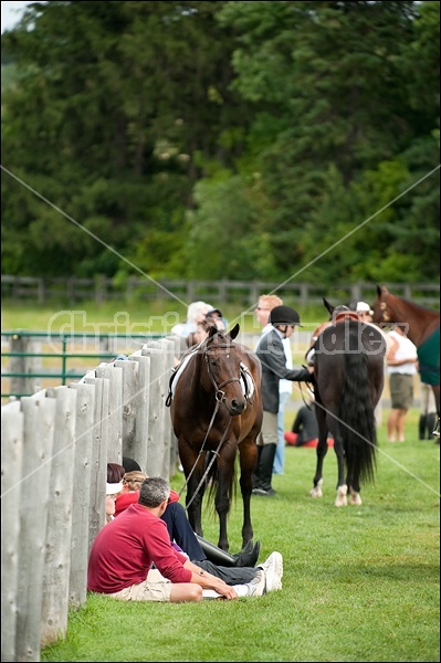 Hunter Jumper Show at Blue Star Farm