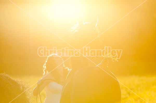 Woman in wedding dress with horse.