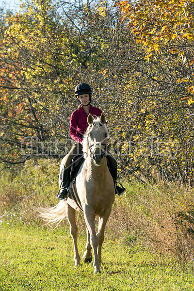 Young woman riding palomino horse