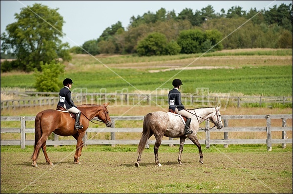 Hunter Jumper Show at Blue Star Farm