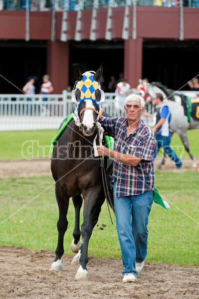 Quarter Horse Racing at Ajax Downs