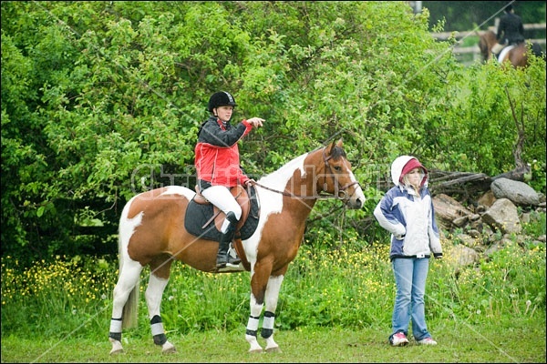 Horse Trials