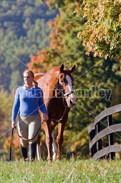 Young woman leading chestnut horse