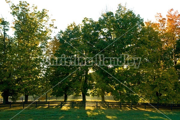 Autumn farm scene