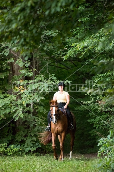 Young woman riding chestnut Thoroughbred horse.