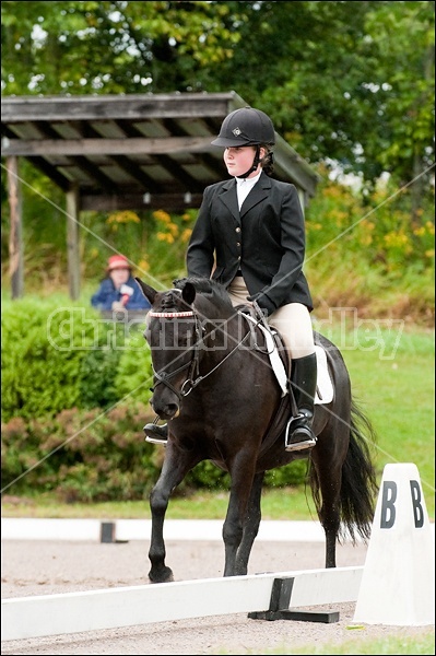 Lanes End Horse Trials