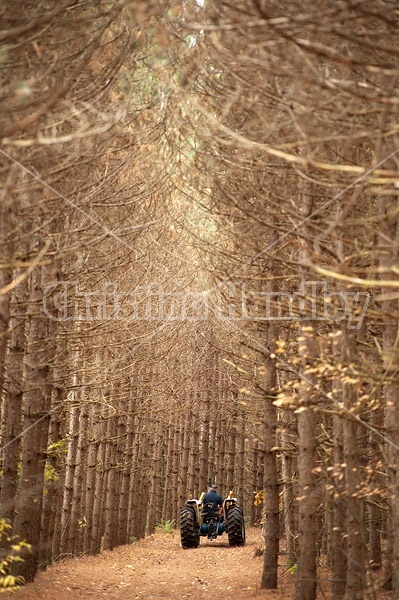 Farmer driving tractor down wooded trail