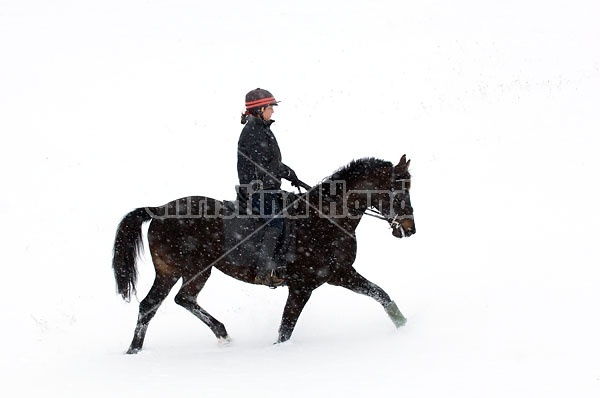 Woman horseback riding in the winter