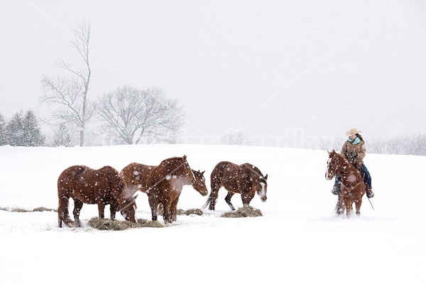 Young woman riding horse in snowstorm in Ontario Canada