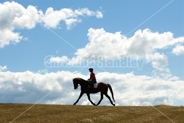 Woman horseback riding against big sky background