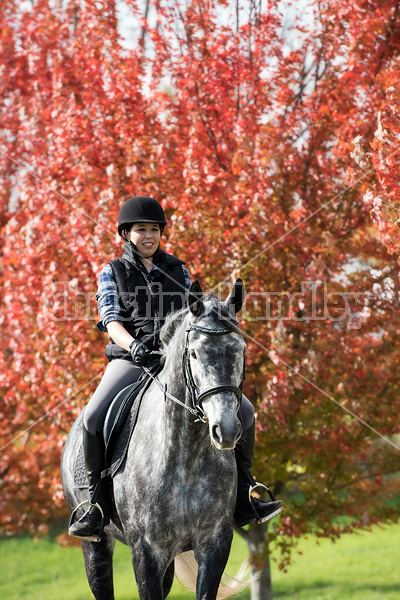 Young woman riding gray horse in the autumn colors