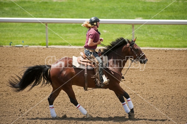 Quarter Horse Racing at Ajax Downs