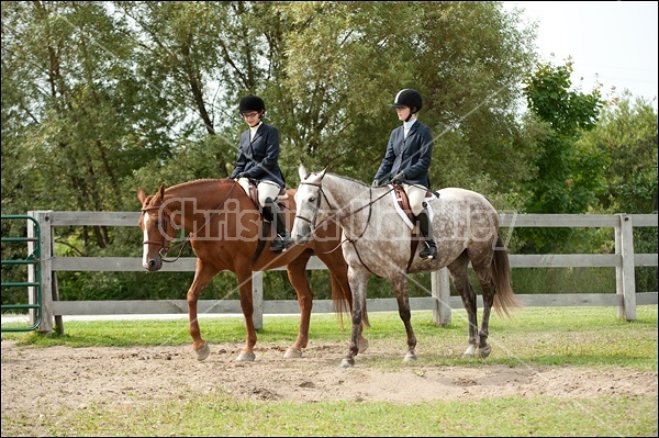 Hunter Jumper Show at Blue Star Farm