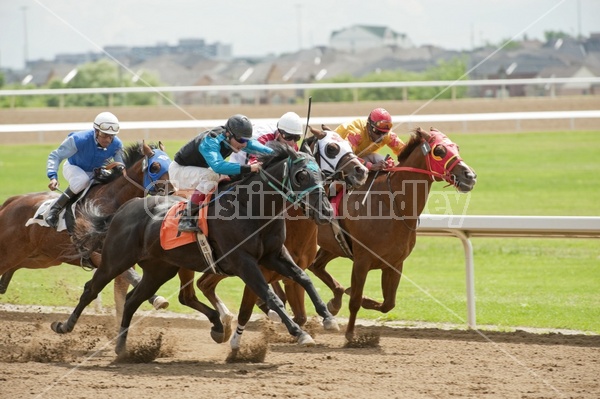 Quarter Horse Racing at Ajax Downs