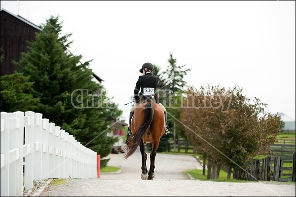 Hunter Jumper Show at Blue Star Farm