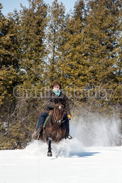 Woman riding quater horse stallion in deep snow