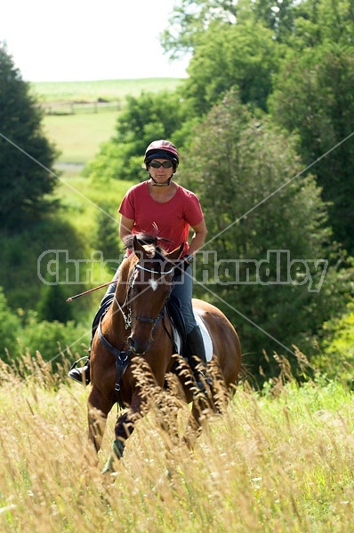 Woman horseback riding in field