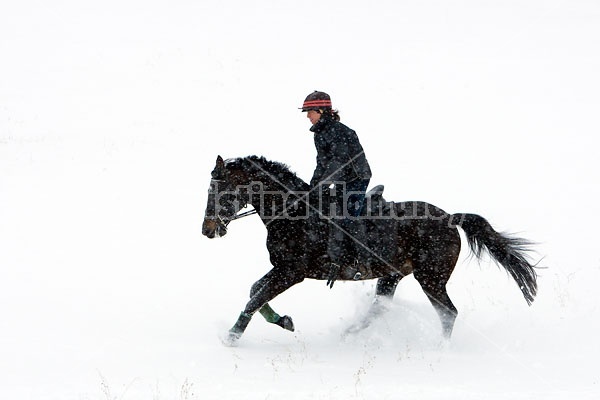 Woman horseback riding in the winter