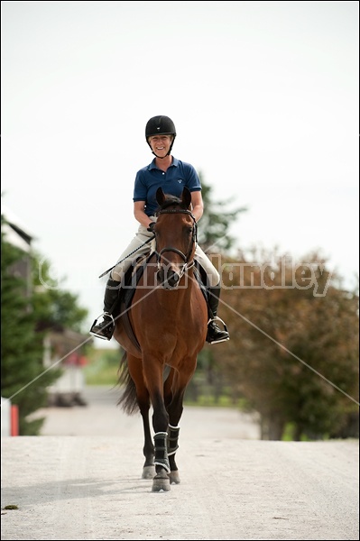 Hunter Jumper Show at Blue Star Farm