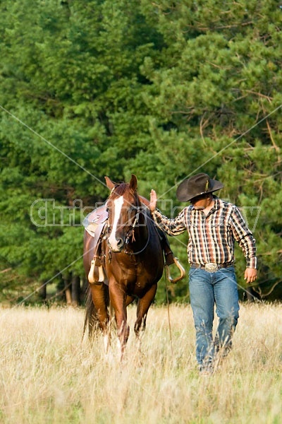 Cowboy and Horse