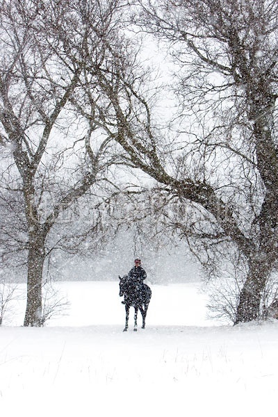 Woman horseback riding in the winter