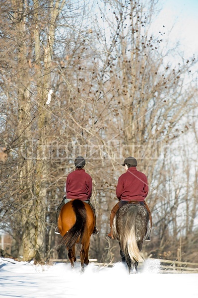 Husband and wife horseback riding through the deep snow