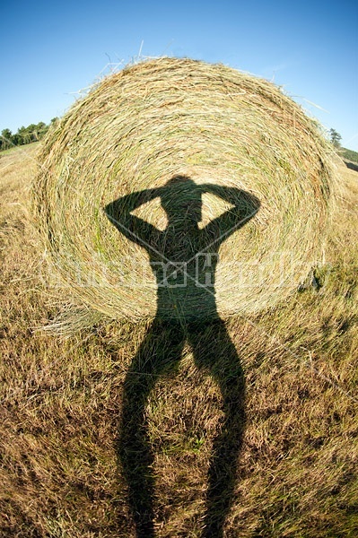 Maling fun selfie shadows on the side of a round bale of hay