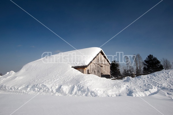 Heavy snow on barn 