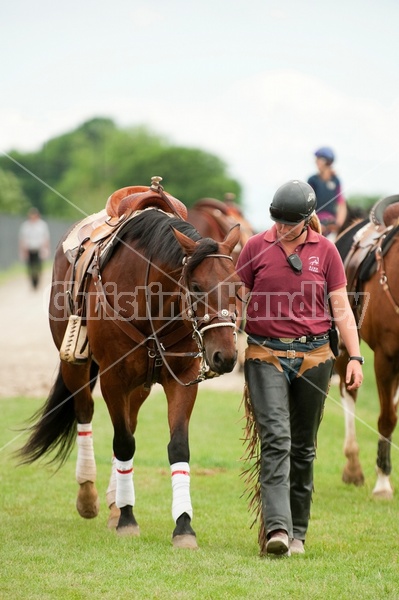 Quarter Horse Racing at Ajax Downs