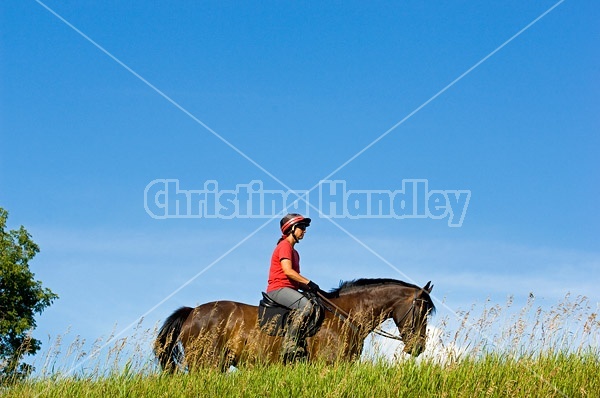 Woman horseback riding