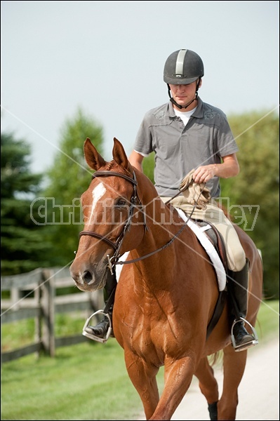 Hunter Jumper Show at Blue Star Farm