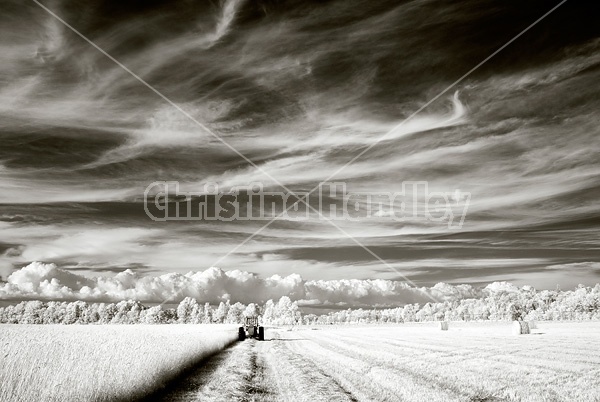 Infrared photo of tractor and haybine cutting hay