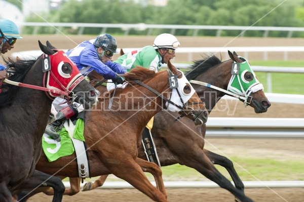 Quarter Horse Racing at Ajax Downs