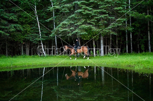 Young woman trail riding next to pond