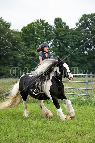 Young girl riding a Gypsy Vanner horse