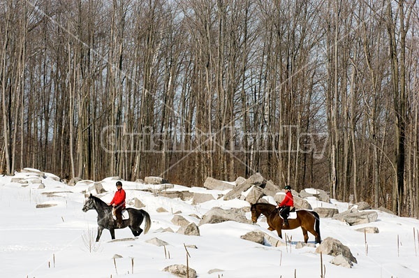 Horseback Riding in the Winter in Ontario Canada