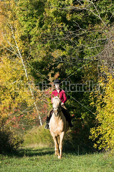 Young woman riding palomino horse