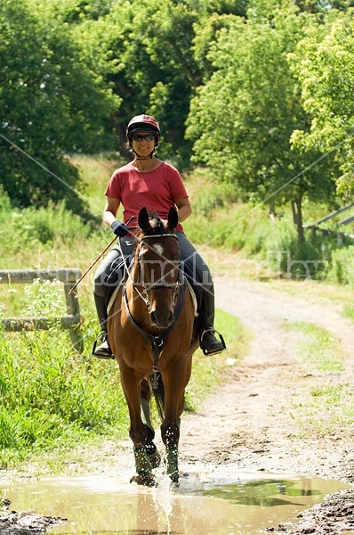 Woman horseback riding on a summer day