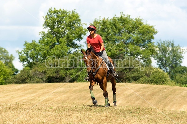 Woman horseback riding in field