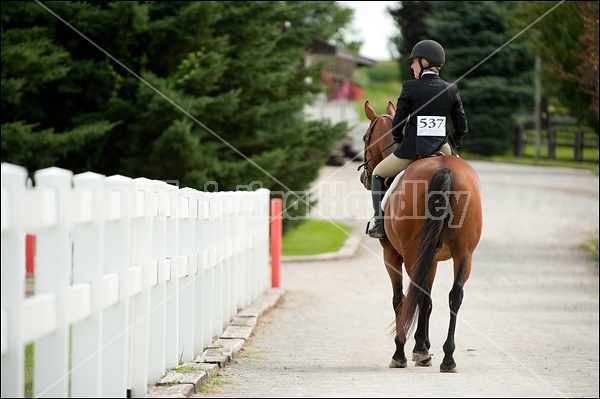 Hunter Jumper Show at Blue Star Farm