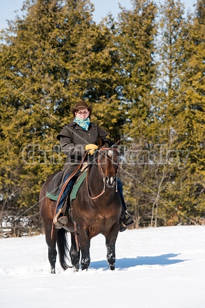 Woman riding quater horse stallion in deep snow