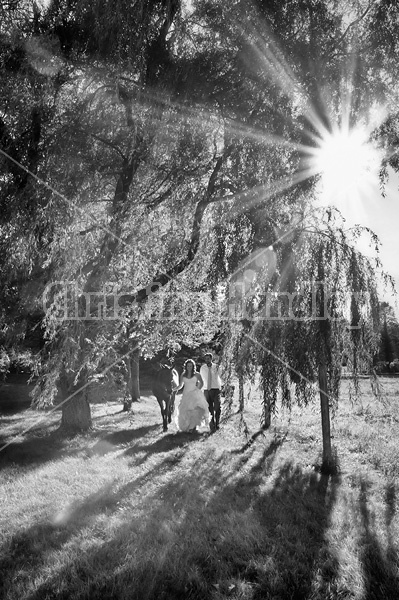 Bride and groom with horse