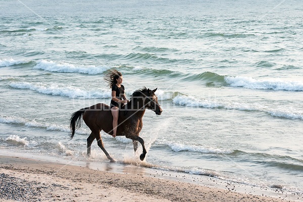 Young woman horseback riding in the surf of Lake Ontario. 