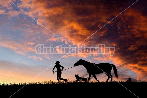 Silhouette with girl, dog and horse