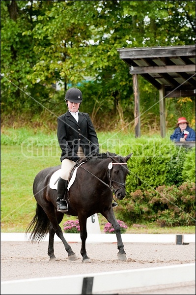 Lanes End Horse Trials