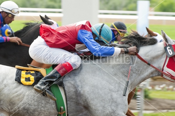 Quarter Horse Racing at Ajax Downs