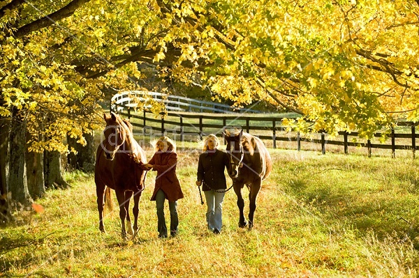 Two women leading horses through field.