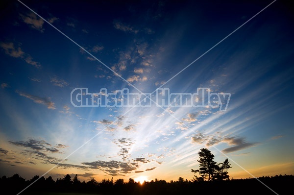 Cloud filled sky during sunrise