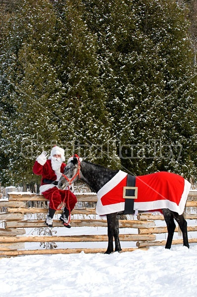 Santa Claus and his Horse