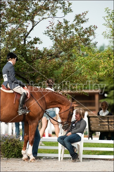 Hunter Jumper Show at Blue Star Farm